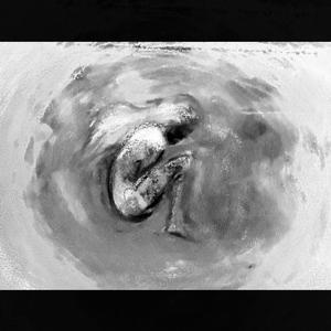 Vestige Of What We Were