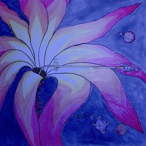 I Took A Trip(Around Space)