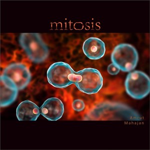 Mitosis