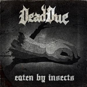 Eaten by Insects (Explicit)