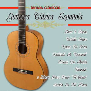 Guitarra Española Clásica