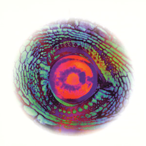 Seven Souls (The Secret Name) (The Secret Name)