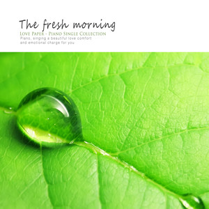 싱그러운 아침 (A fresh morning)