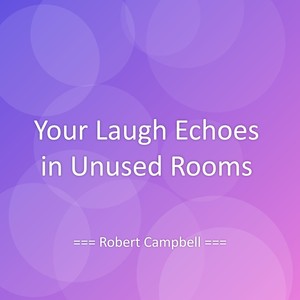 Your Laugh Echoes in Unused Rooms