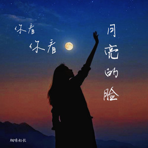 你看你看月亮的脸-烟嗓船长