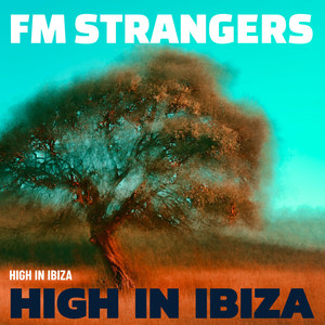 FM Strangers - High In Ibiza (Radio Edit)