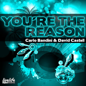 You're the Reason - Single