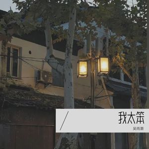 我太笨 (Demo)