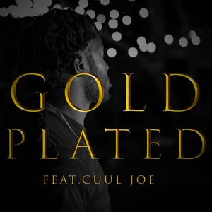 Gold Plated (feat. cuul joe) [Explicit]