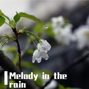 Melody in the rain