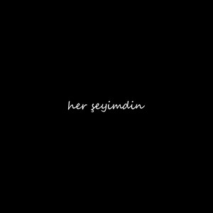 Her Şeyimdin
