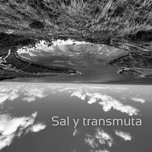 Sal y transmuta (feat. High Modo) (Explicit)