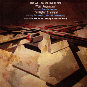 The Higher Standard (Mark B remix)