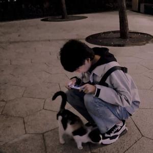 这是你想要的生活吗 (温柔男生版)