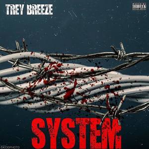 System (Explicit)