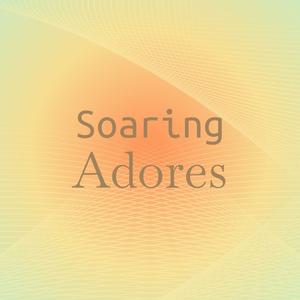 Soaring Adores