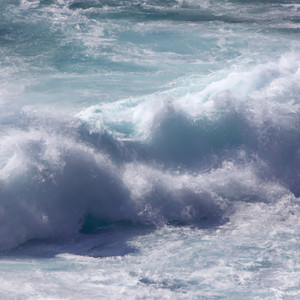 Life dan roulman (Explicit)