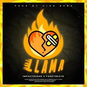 Llama X Fancy Beats