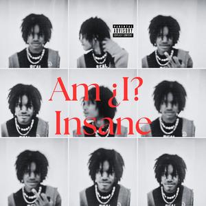 AM¿I?INSANE (Explicit)