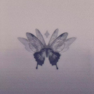 抛物线 (女生版)