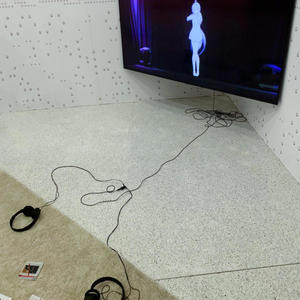 v televizi (feat. girlshades)