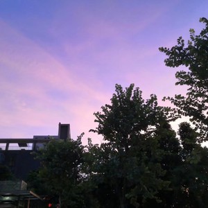 可惜我是水瓶座