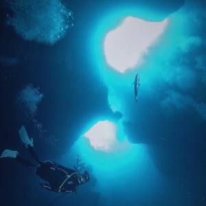 【FREE】“Alone”