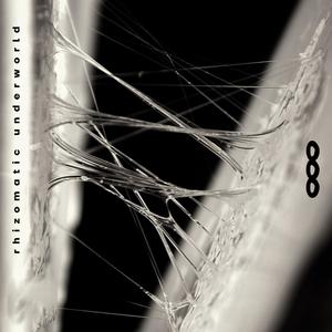 Mycological Decryption