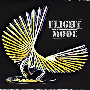 Flight Mode