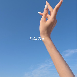 Palm Tree