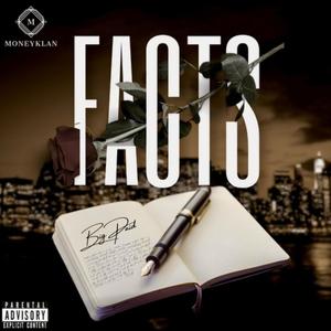 Facts (Radio Edit)