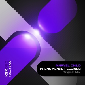 Phenomenal Feelings (Original Mix)