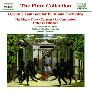 Operatic Fantasies for Flute and Orchestra