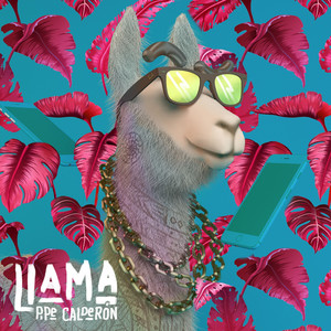 Llama