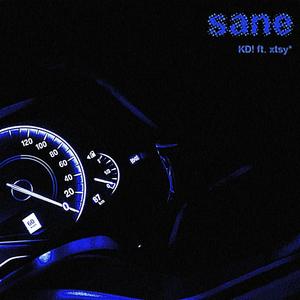 sane (feat. xtsy*) [Explicit]