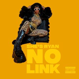 No Link (Explicit)