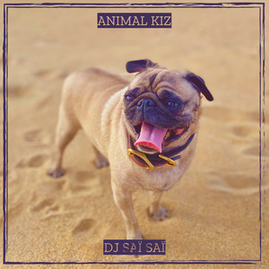 Dj Saï Saï - Animal Kiz