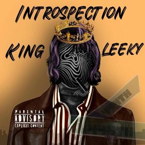 Introspection (Explicit)