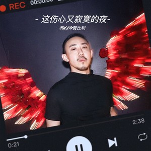 这伤心又寂寞的夜