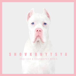 Shovkovytsya (Andi Vax & Shurmaped Remix)