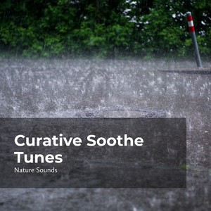 Lost in the Woodland