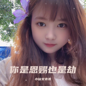 你是恩赐也是劫dj版