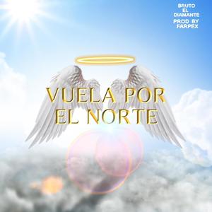 VUELA POR EL NORTE