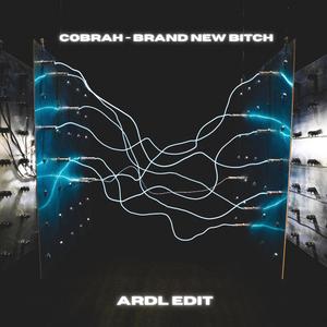Brand New ***** (ARDL EDIT) (Explicit)
