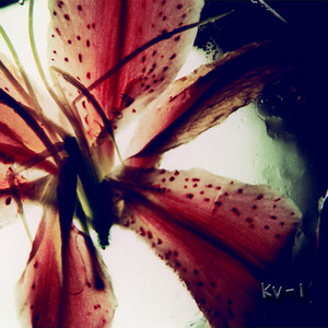 董磊 - 401的玩笑