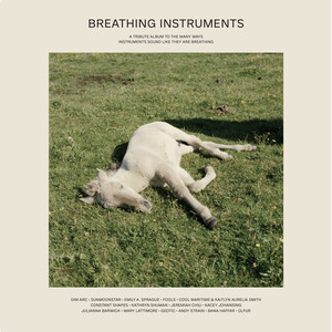 Touchtheplants Presents: Breathing Instruments