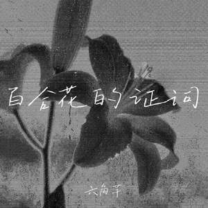 百合花的证词