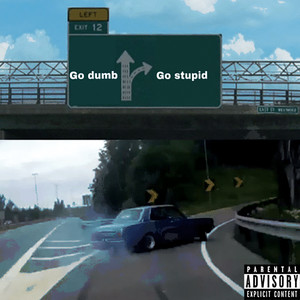 Go Dumb Go Stupid (Explicit)