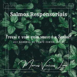 Provai e Vede Quão Suave É o Senhor! (20º Domingo do Tempo Comum, Ano B)