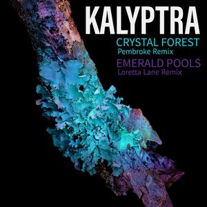 Crystal Forest (Pembroke Remix)